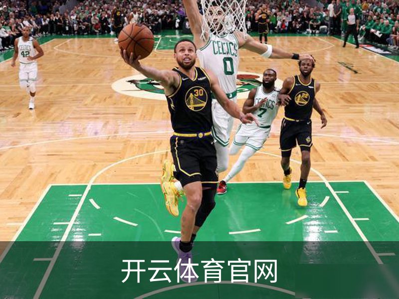 开云体育官网概况